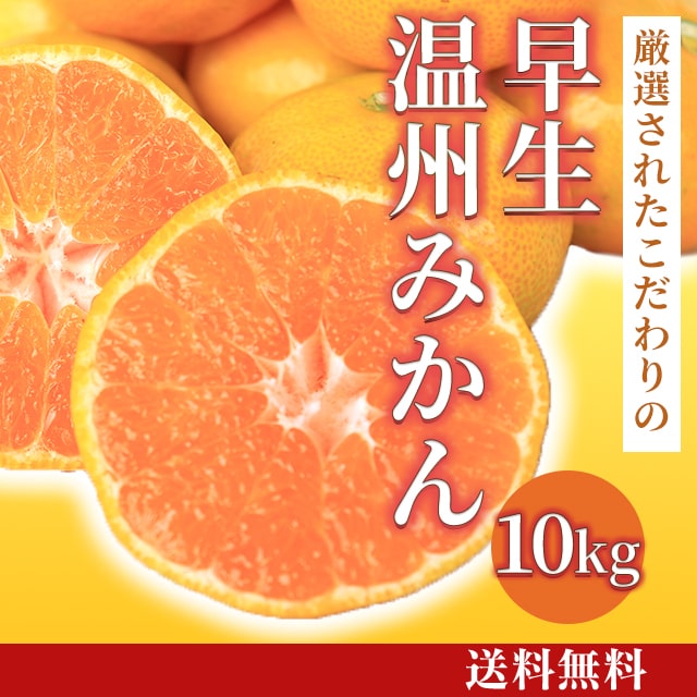 wase-unsyu-mikan-10kg-