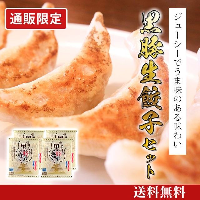 焼餃子 グルメ定期便】焼き餃子協会会長監修！全国の餃子定期コース: 惣菜