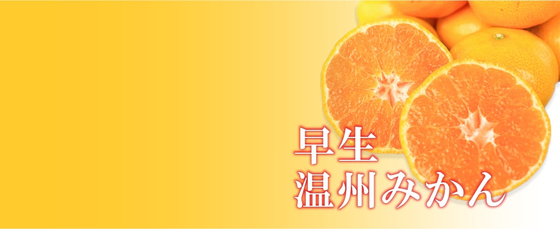 早生温州みかん