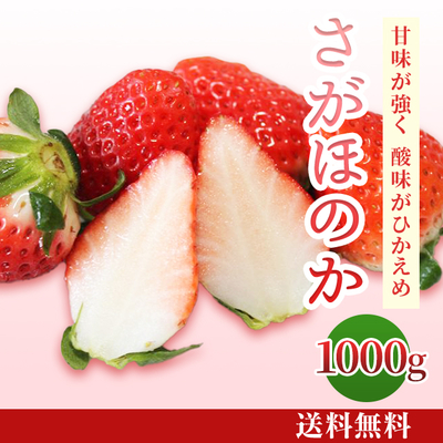 いちご（さがほのか）1000g（250g×4パック） [F-012]