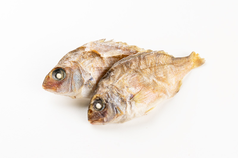 豆鯛 | みちのくファーム