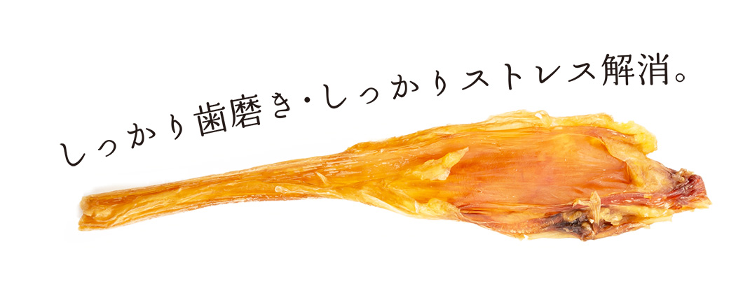 愛犬の歯磨きに