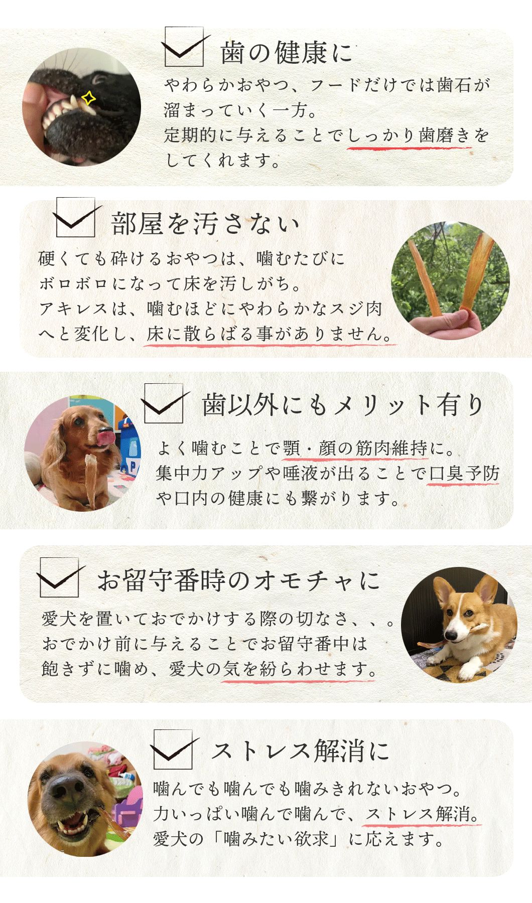 愛犬の歯磨きおやつ