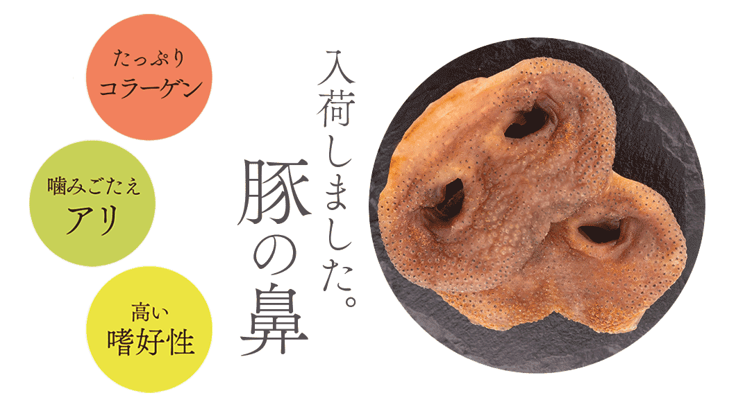 “豚の鼻”