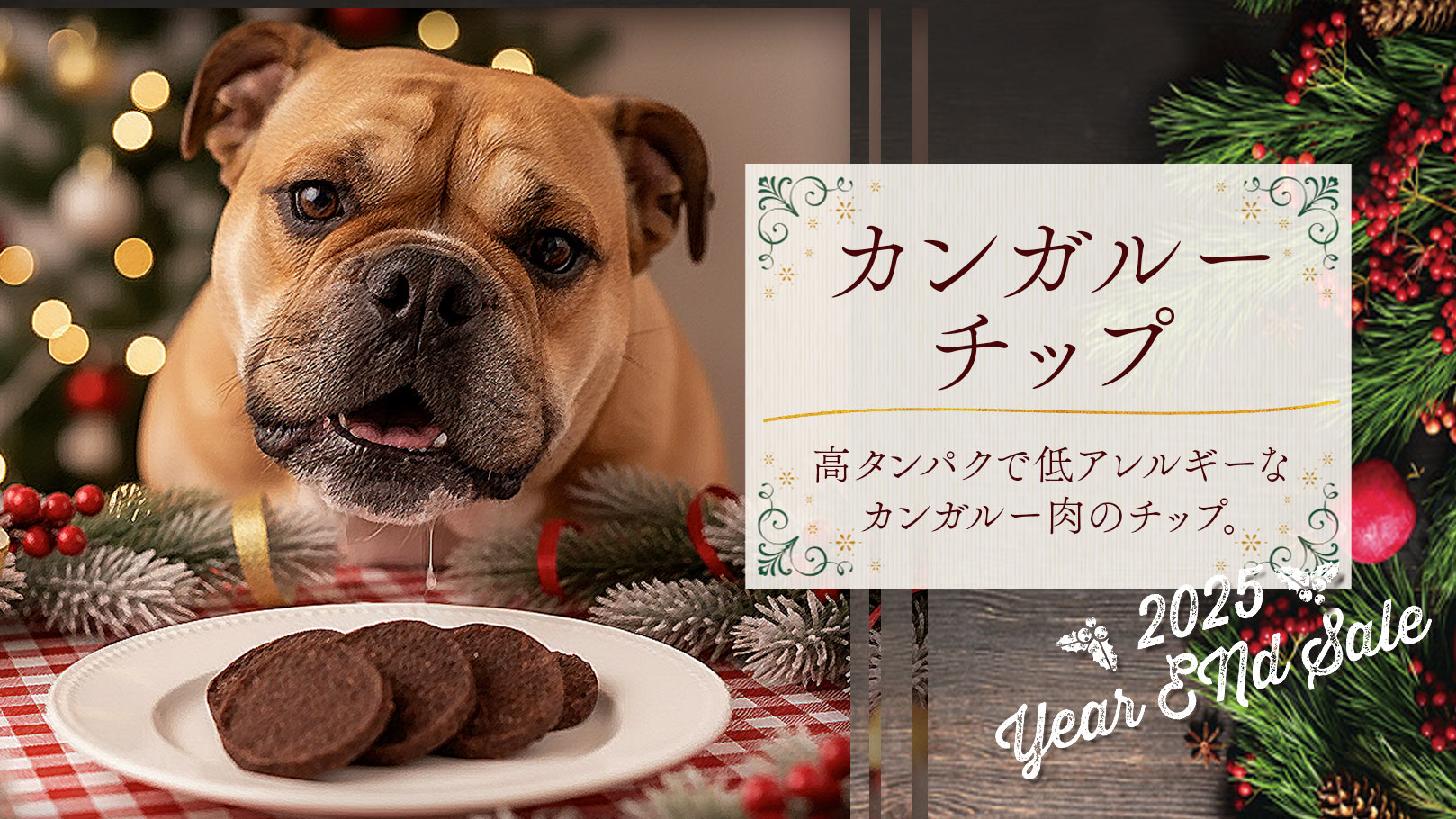 高タンパクで低アレルギーなカンガルー肉のチップ。