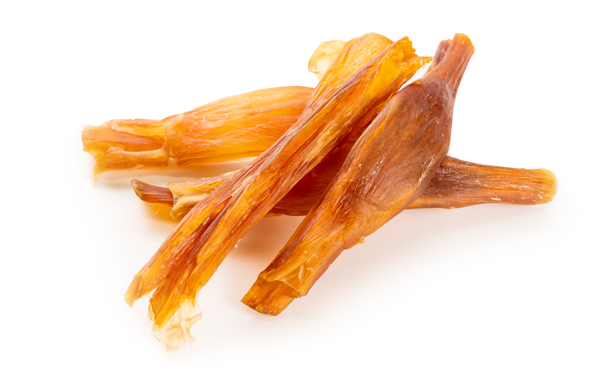 馬アキレスホールロング1/2