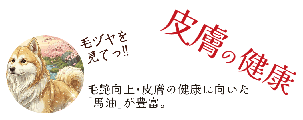 “皮膚の健康におすすめ”