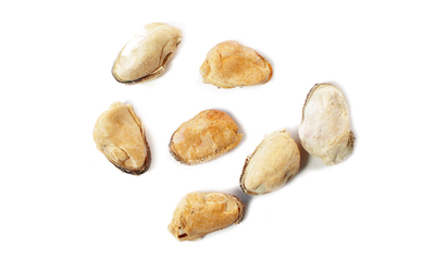 フリーズドライ ムール貝