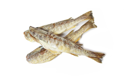 氷下魚