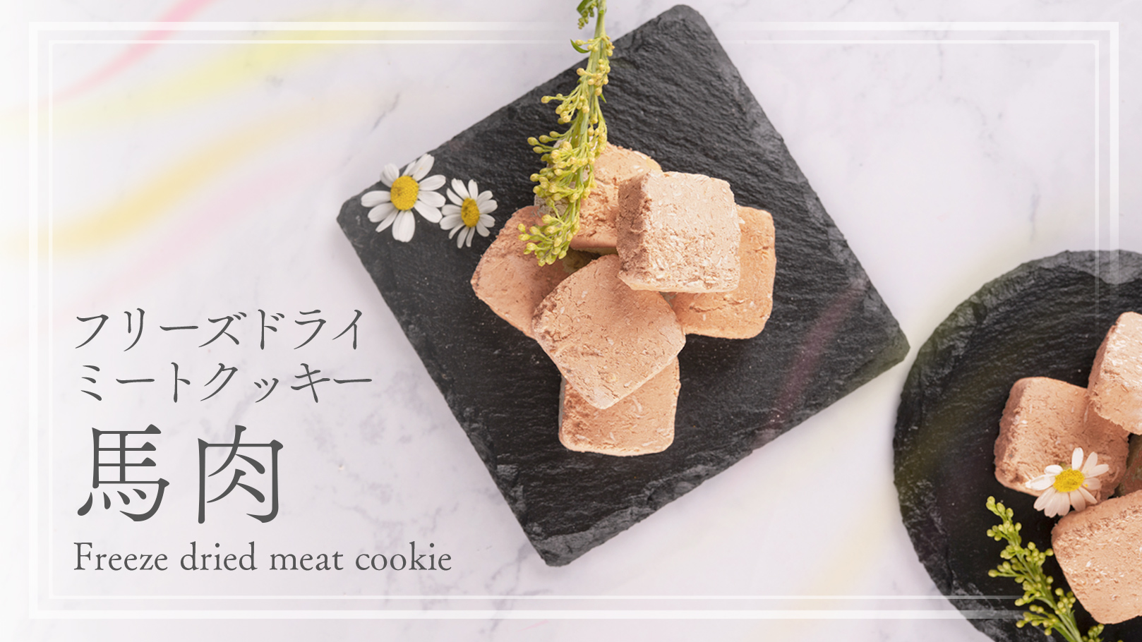 小麦粉不使用のフリーズドライクッキー。