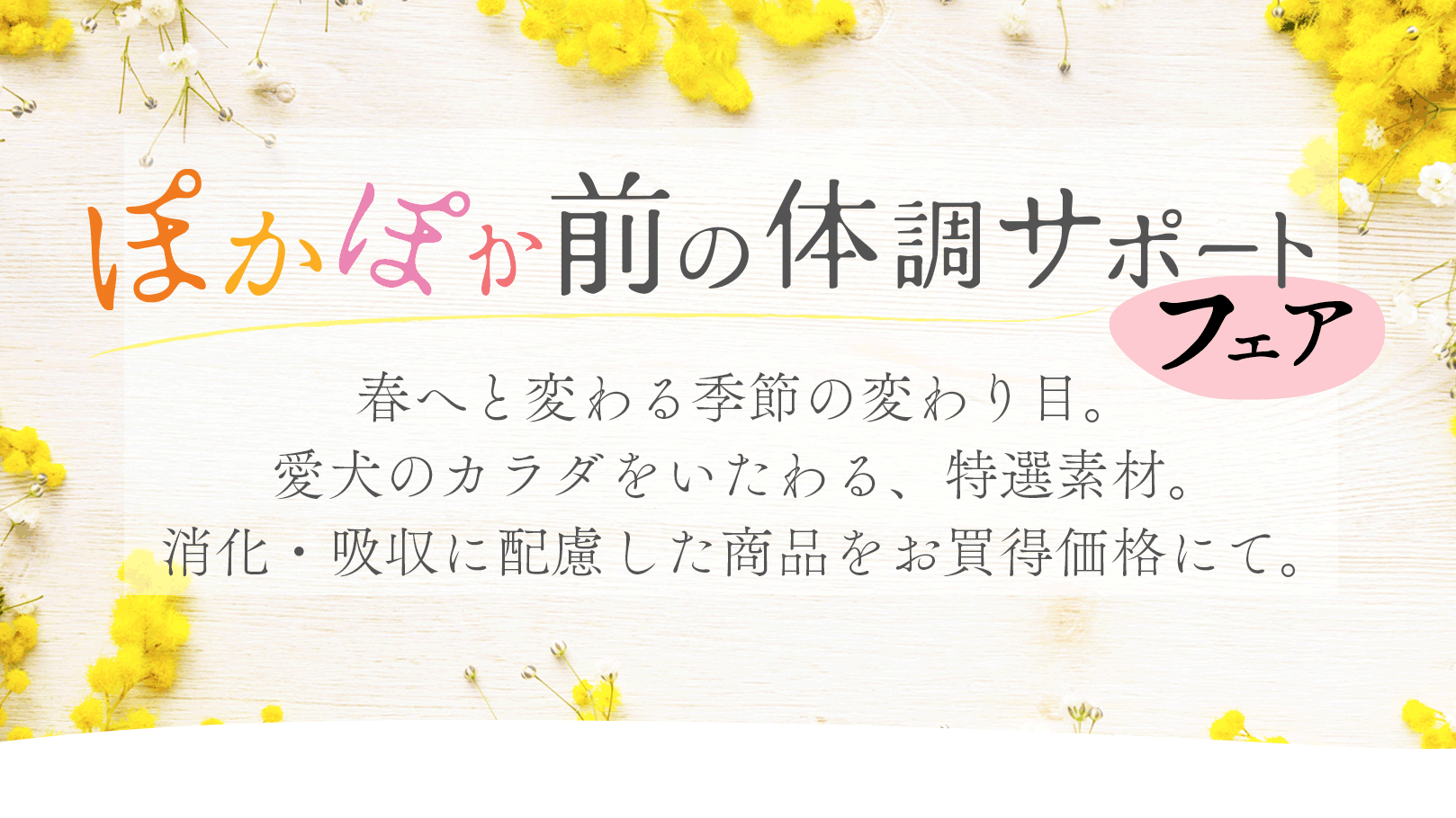 “メイントップ”