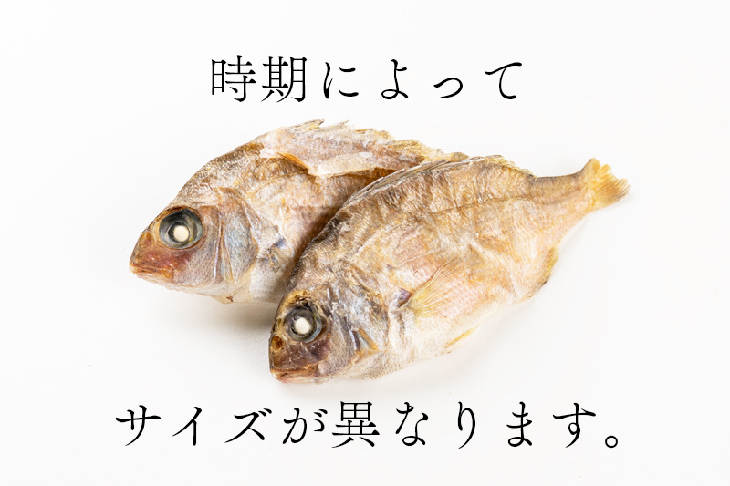 豆鯛 | みちのくファーム
