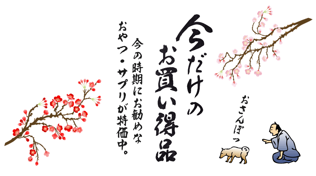 “メイントップ”