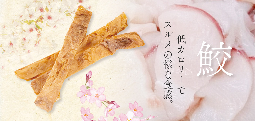 “鮫(さめすじ)スティック”