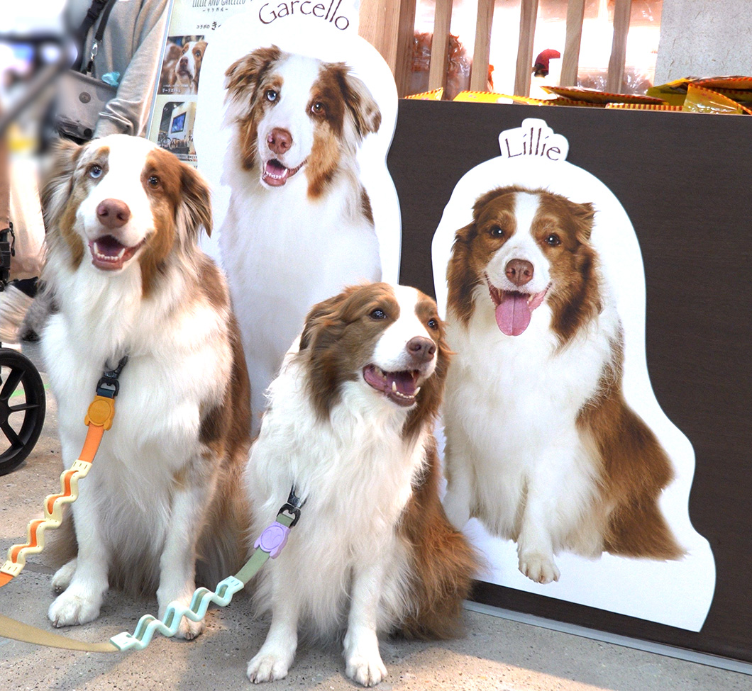 “リリガルご本人様達”