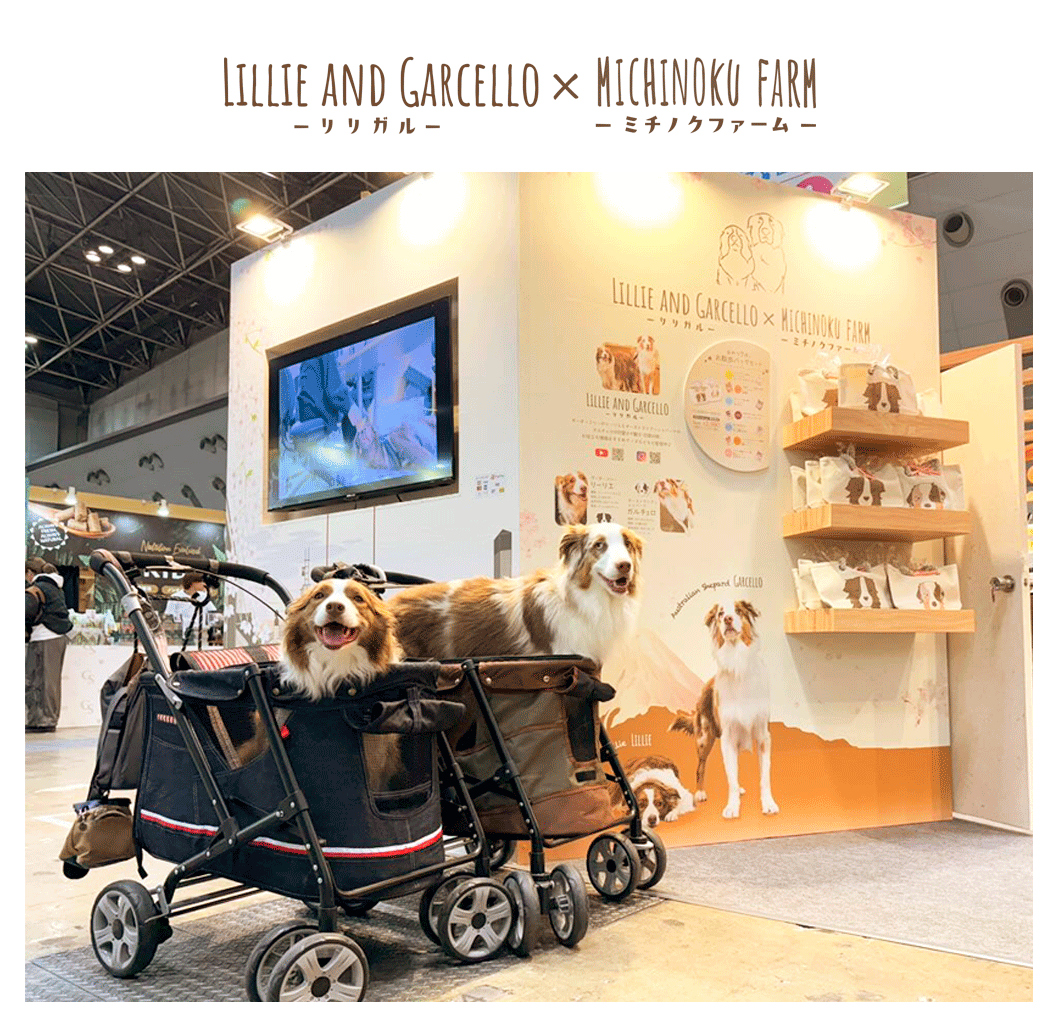 “ブースの内容”