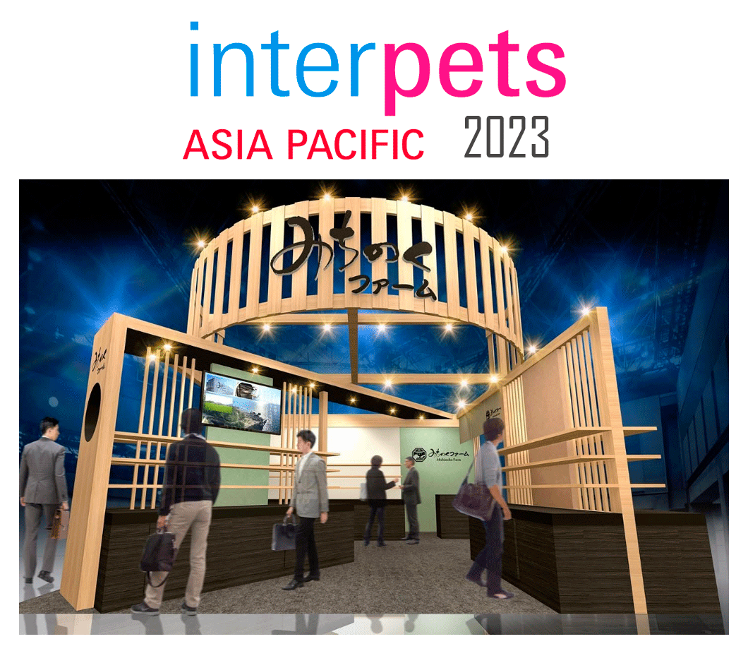 “2023IPメイントップ”