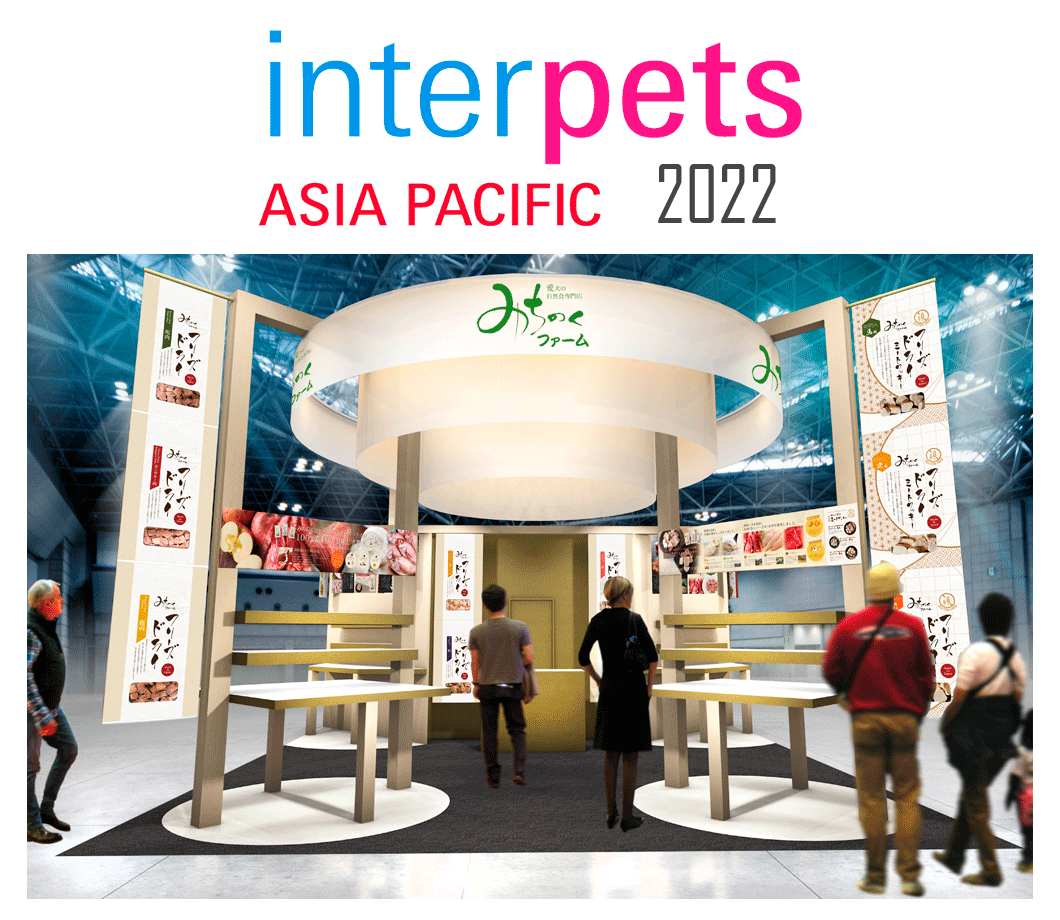 “2023IPメイントップ”