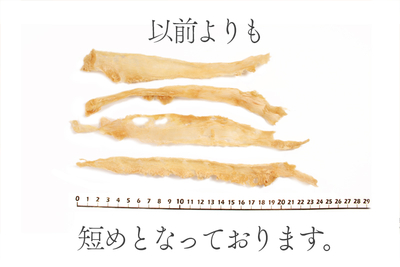 七面鳥アキレス