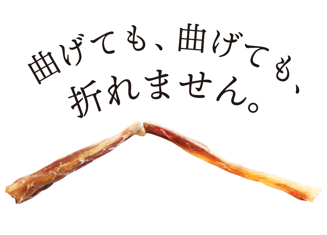曲げても折れない質感です