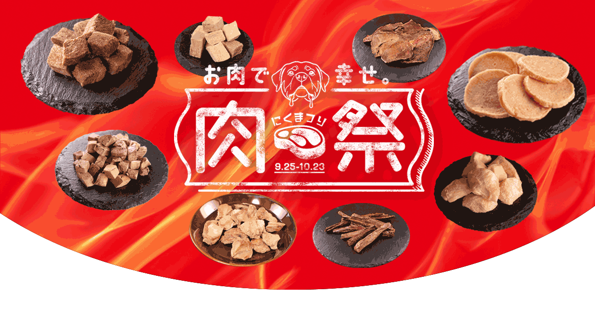 現在のお買い得品・セール品