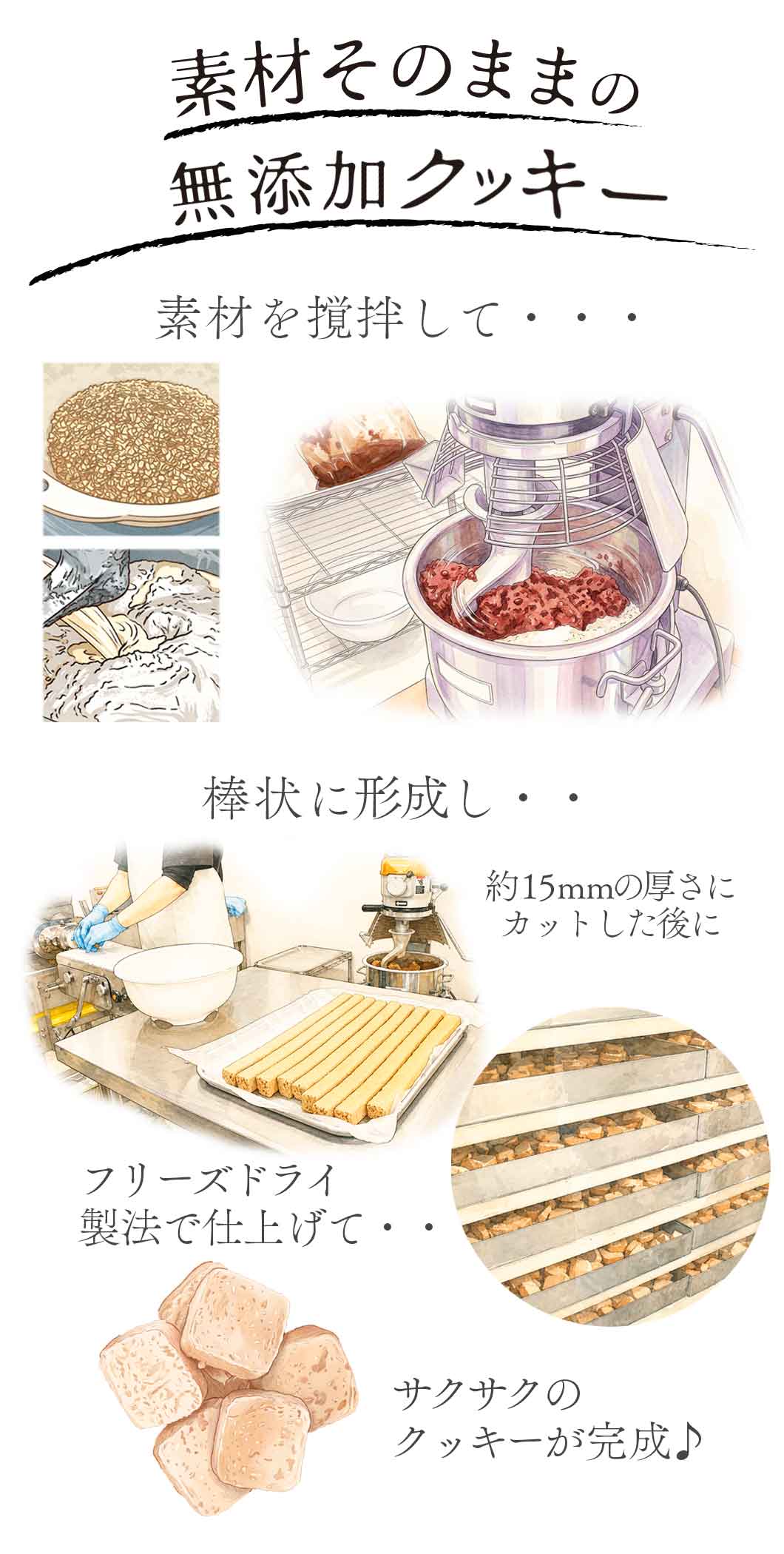丁寧な加工で仕上げた素材そのままの無添加クッキー