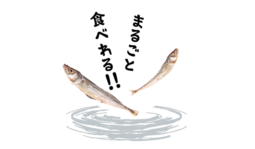 豆鯖の食感