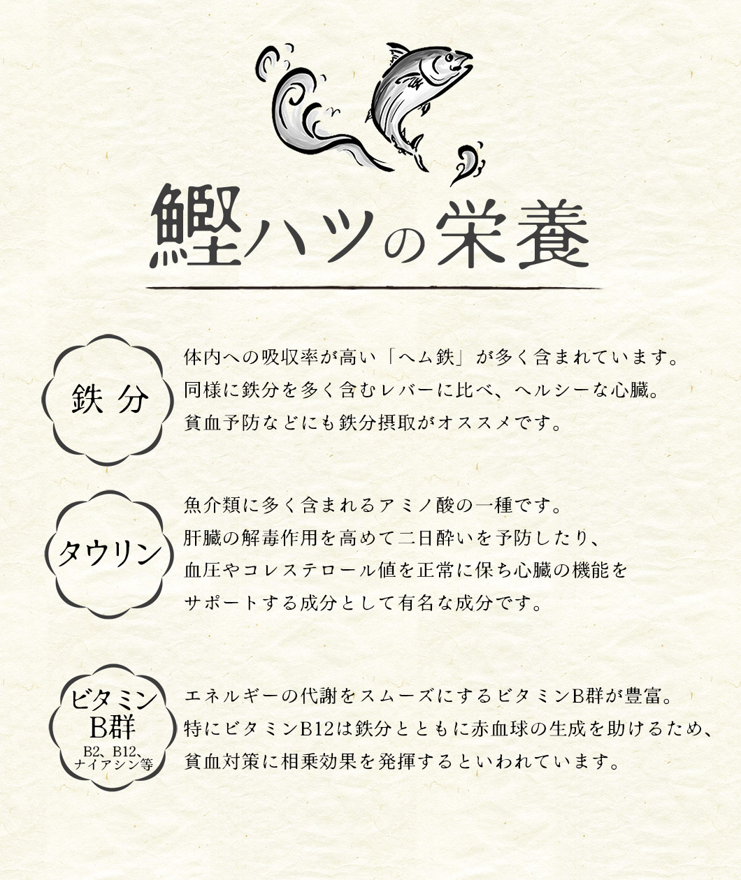 鰹の栄養