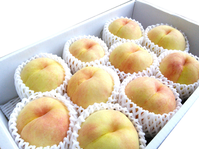 岡山産　恵白桃3ｋｇ（8～11玉入）1箱　　夏ギフト【出荷時期】8月中旬～9月上旬