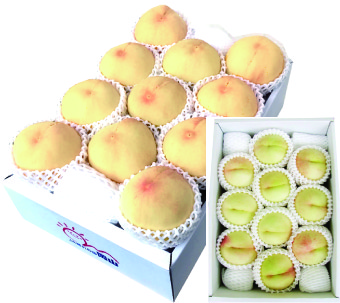 【中古】 花/牧羊社/辻桃子 岡山産 白皇桃 2.5kg 1箱 大箱 夏ギフト【出荷時期】8月下旬