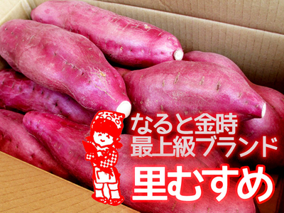 徳島産　なると金時芋