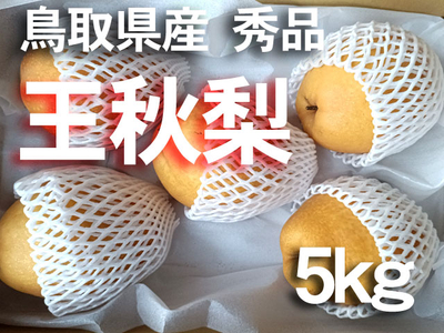 鳥取産 ブランド 王秋梨 5kg5~6玉