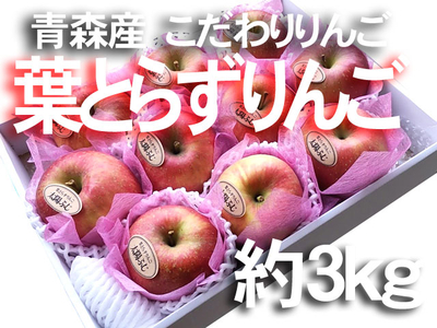 葉とらずりんご太陽ふじ