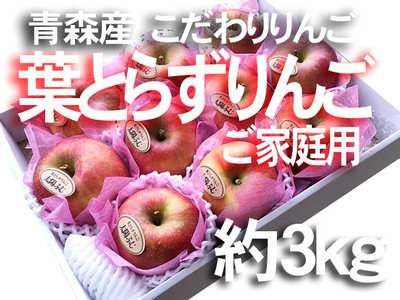 葉とらずりんご太陽ふじ　ご家庭用訳あり品