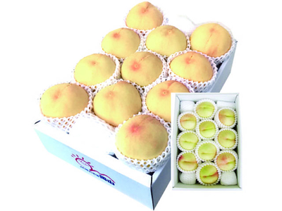 岡山産　白麗桃　2.5ｋｇ 1箱　大箱　夏ギフト【出荷時期】8月下旬