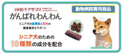 HMBケアサプリ　　　　　　　がんばれわんわん