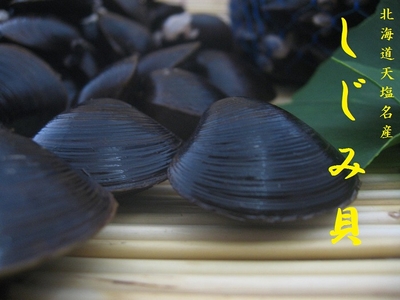 生鮮しじみ 特大貝