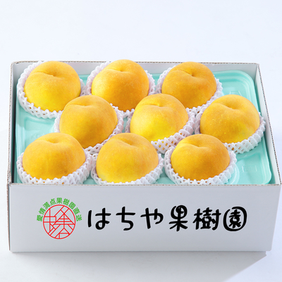 黄金桃　約2.5kg（7〜12玉）