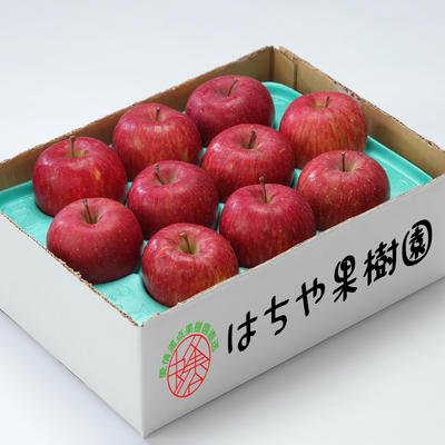 サンふじ　約3kg（8〜12玉）大玉