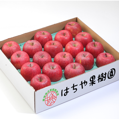 サンふじ　約5kg（12〜16玉）大玉