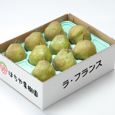 ラ・フランス　約3kg（7〜9玉）