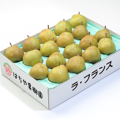 ラ・フランス　約5kg（12〜16玉）