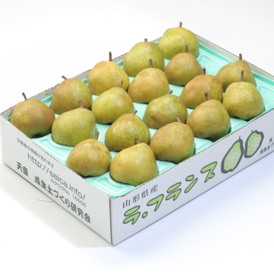 【訳あり】ラ・フランス　約5kg（18〜20玉）ご家庭向け