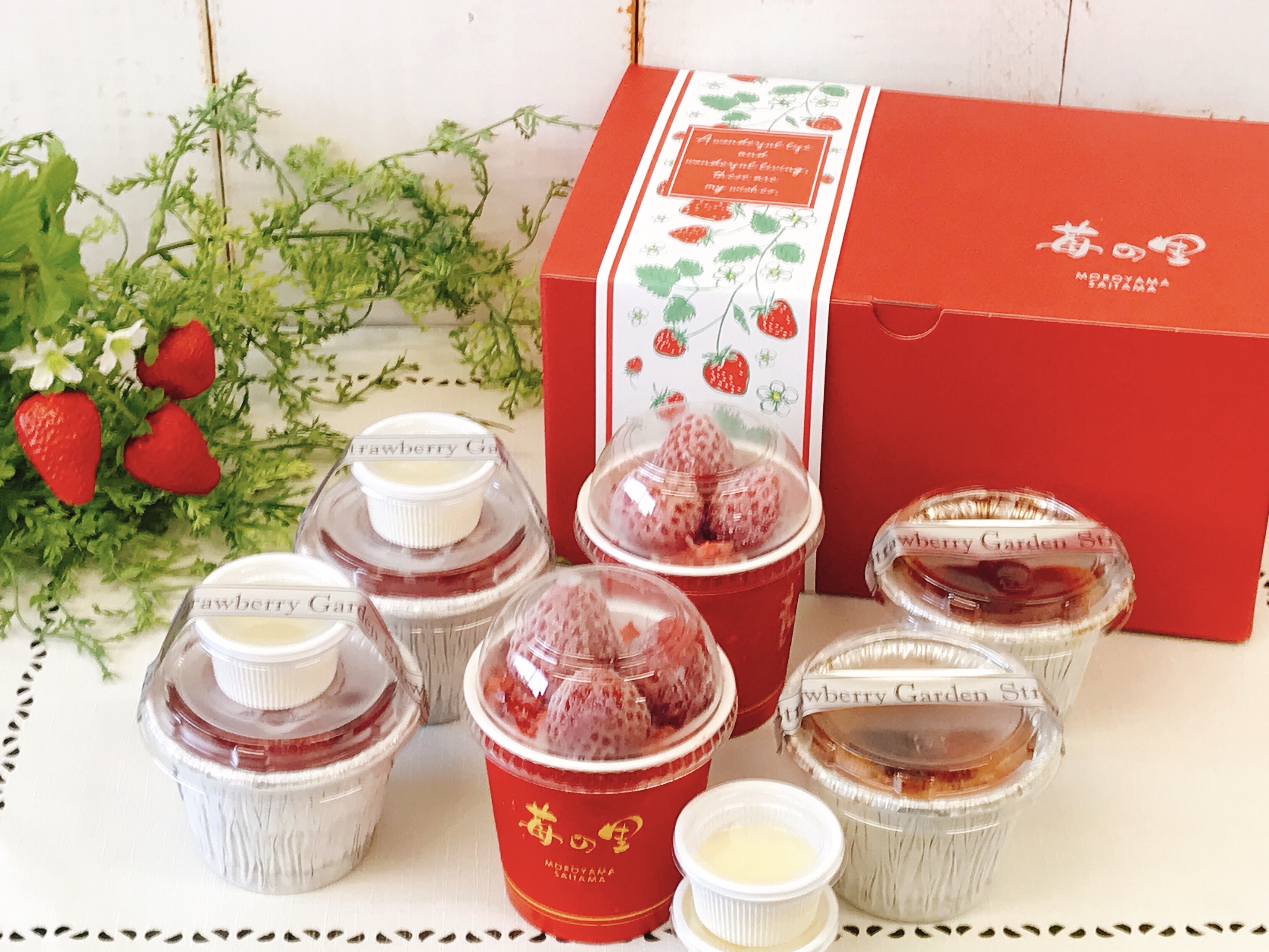 けずりミニ2＆カタラーナ2＆ブリュレ2 | 苺の里オンラインショップ