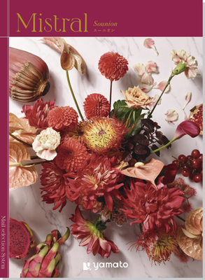 ミストラル　スーニオン