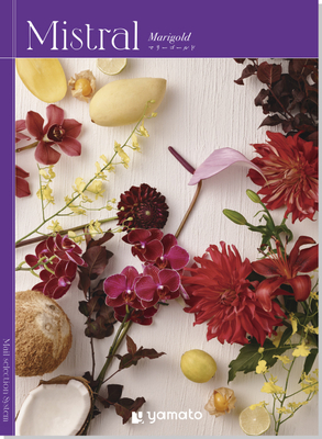 ミストラル　マリーゴールド