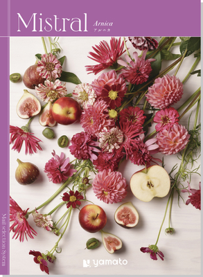 ミストラル　アルニカ