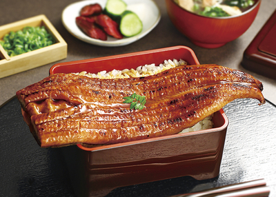 鰻楽　特大国産うなぎ蒲焼（長焼）600g（２尾入）