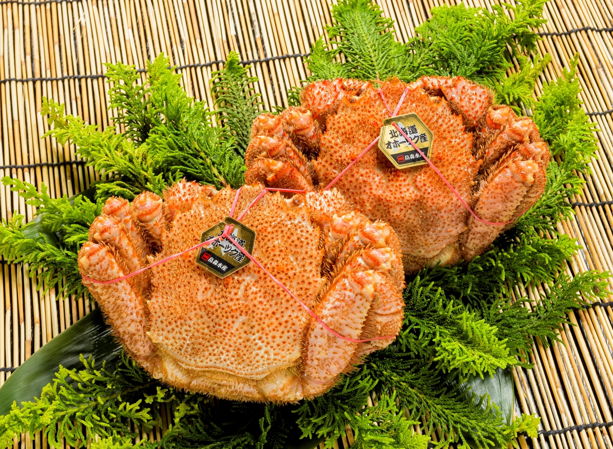 クリガニ オス10キロ詰め クリガニ オス10キロ詰め クリガニ オス10  