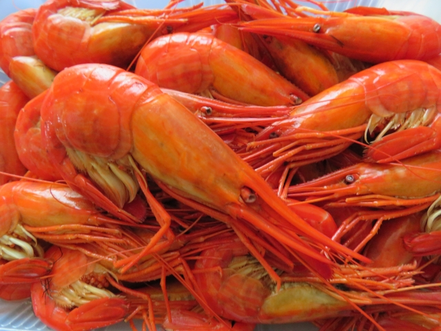 北海しまえび500g | 産直店 海宝